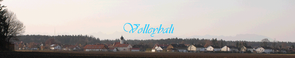 Volleyball